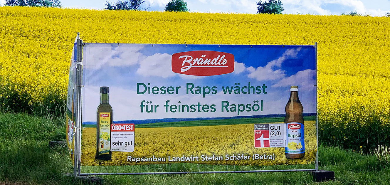 Brändle Banner zum Rapsöl inmitten eines Rapsfeldes
