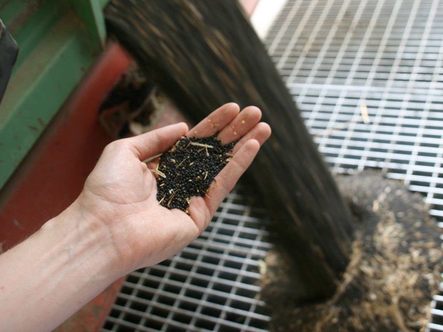 Certifications Brändle Quality Control. Rapeseed is tested here.