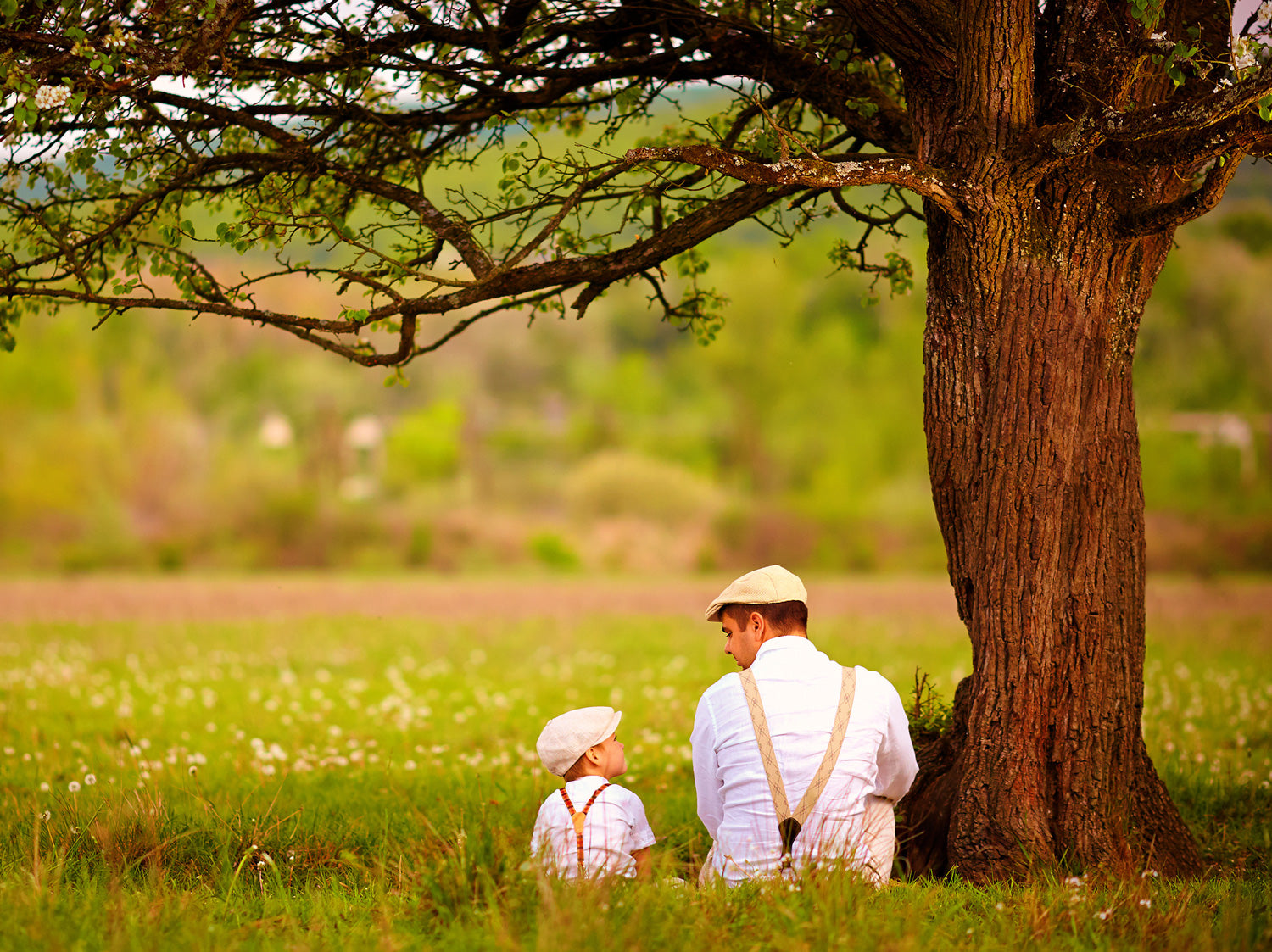 Son sits with father under large deciduous tree. Both can be seen from behind and are talking